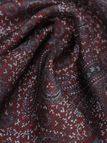 Шарфы и платки Zegna модель AC311455_Темно-коричневий Фото