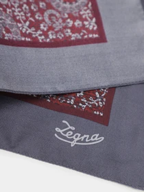 Шарфы и платки Zegna модель AC311455_Темно-коричневий Фото