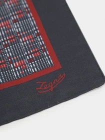 Шарфи та хустки Zegna модель AC311456_0 Фото