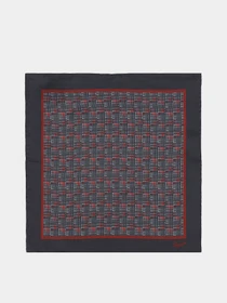 Шарфи та хустки Zegna модель AC311456_0 Фото