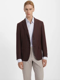 Пиджаки Zegna модель JC308897_Коричневий Фото
