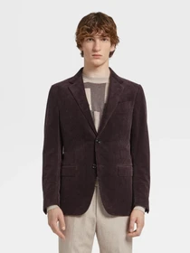 Пиджаки Zegna модель JC315134_Коричневий Фото