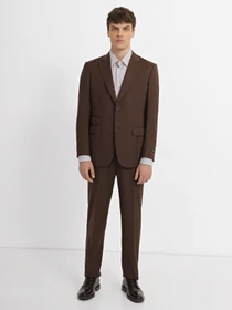 Костюмы Zegna модель ST308379_Коричневий Фото