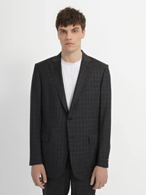 Костюмы Zegna модель ST308526_Сірий Фото