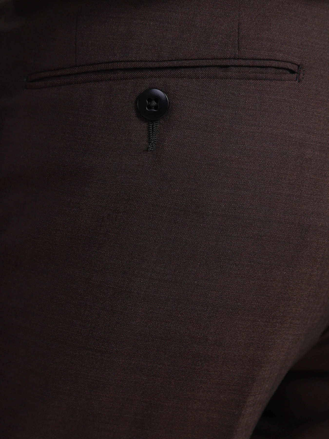 Брюки Zegna модель TR305895_Фіолетовий Фото