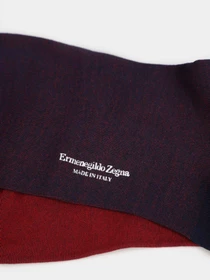Носки и гольфы Zegna модель UN306515_Синій Фото