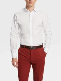 Рубашки Zegna модель SH308403_Білий Фото