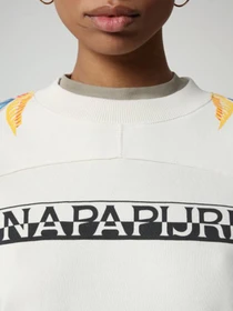 Худи и свитшоты Napapijri Belor модель NP0A4F8ANA91 Фото