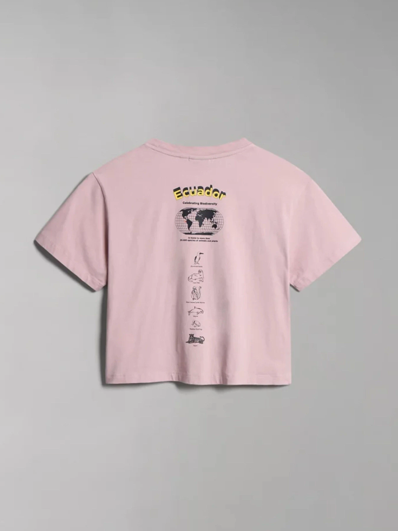 Футболки и поло Napapijri S-CHIRA CROP SS W модель NP0A4GYOP891 Футболки и поло Napapijri S-CHIRA CROP SS W модель NP0A4GYOP891 Фото