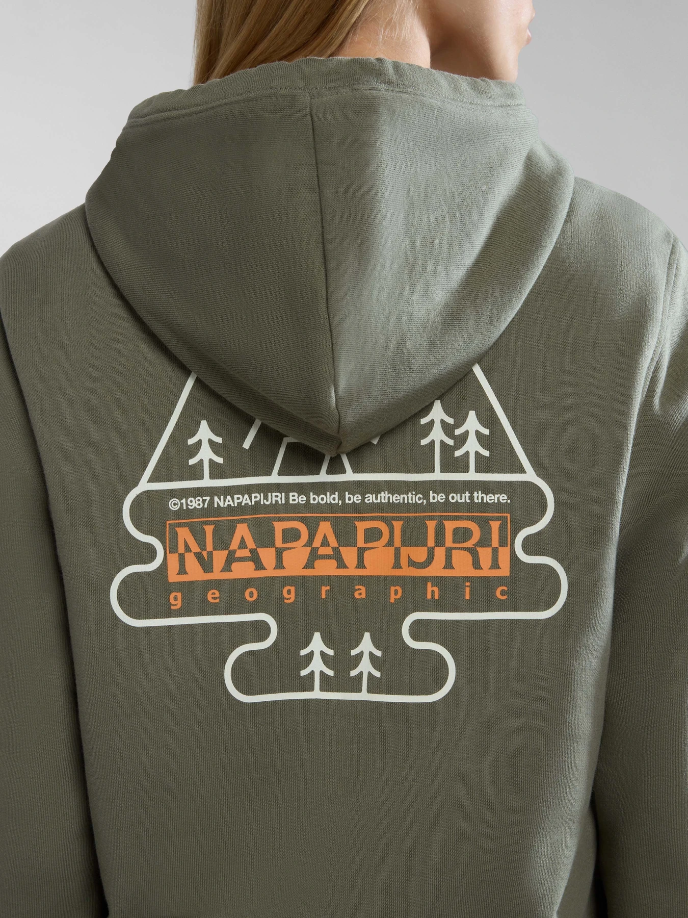 Худі та світшоти Napapijri B-Faber модель NP0A4HO1GAE1 Худі та світшоти Napapijri B-Faber модель NP0A4HO1GAE1 Фото