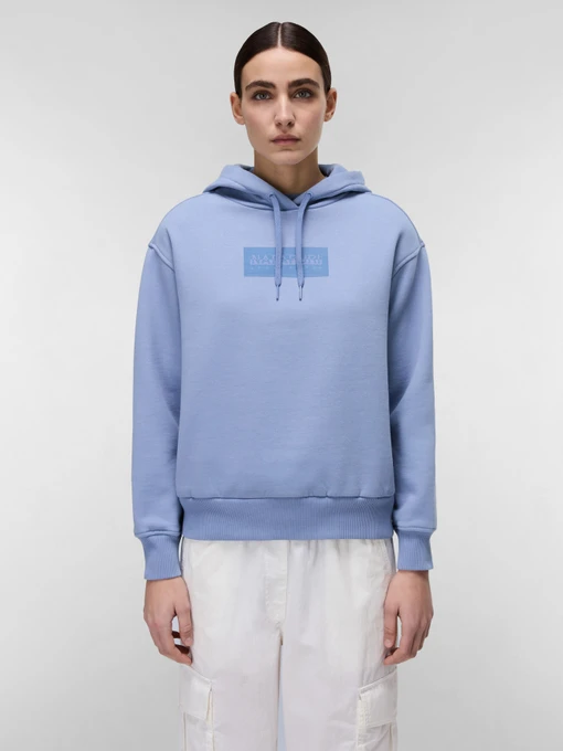 Худи и свитшоты Napapijri Box Logo модель NP0A4HYQB2S1 Фото