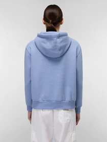 Худи и свитшоты Napapijri Box Logo модель NP0A4HYQB2S1 Фото