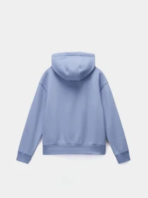 Худи и свитшоты Napapijri Box Logo модель NP0A4HYQB2S1 Фото