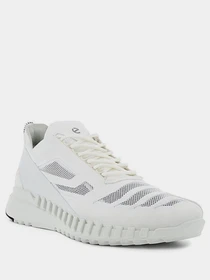 Кроссовки ECCO Zipflex модель 80378450696 Фото
