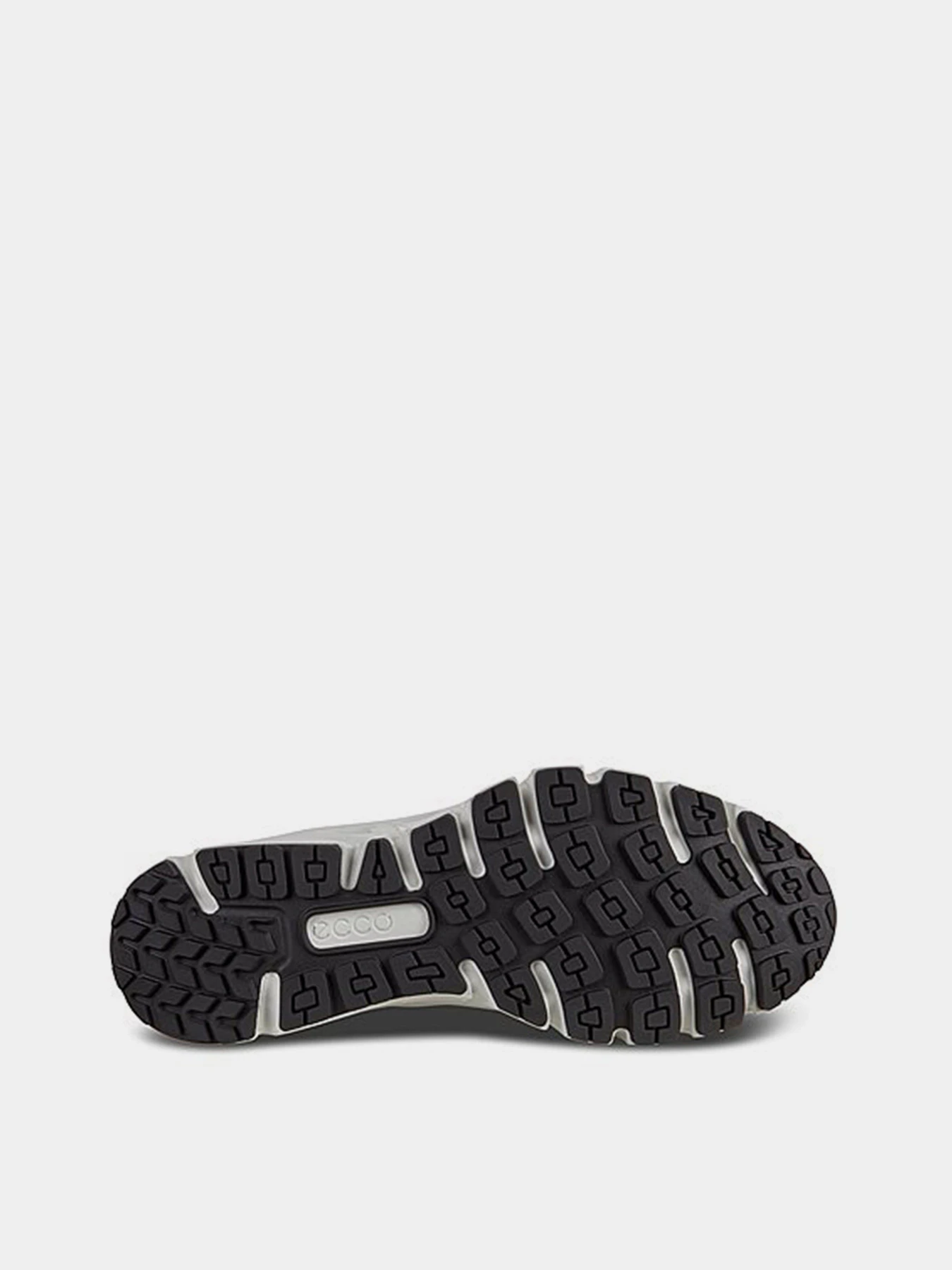Кросівки ECCO Multi-Vent модель 88012401007 Кросівки ECCO Multi-Vent модель 88012401007 Фото