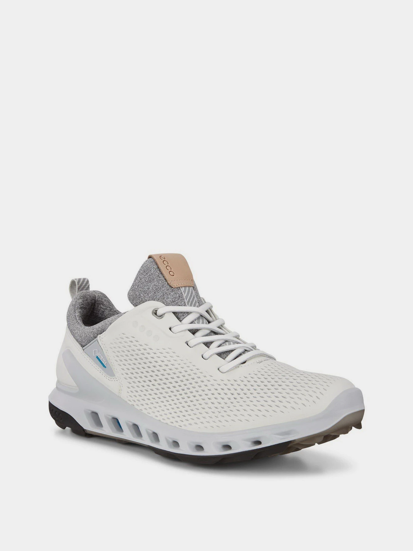 Кроссовки ECCO GOLF BIOM COOL PRO модель 10210401007 Кроссовки ECCO GOLF BIOM COOL PRO модель 10210401007 Фото