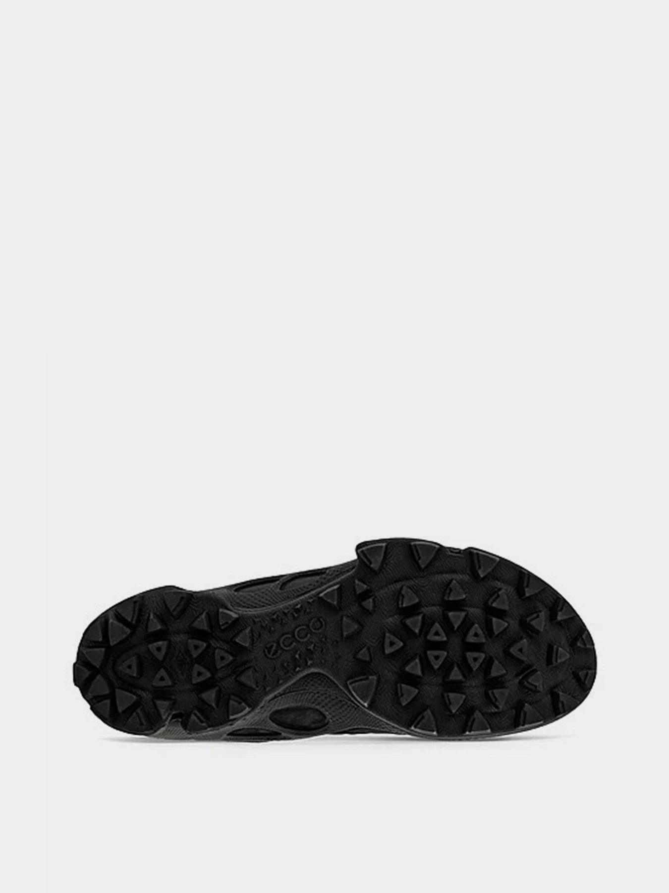 Кросівки ECCO Biom C-Trail модель 80318451094 Фото