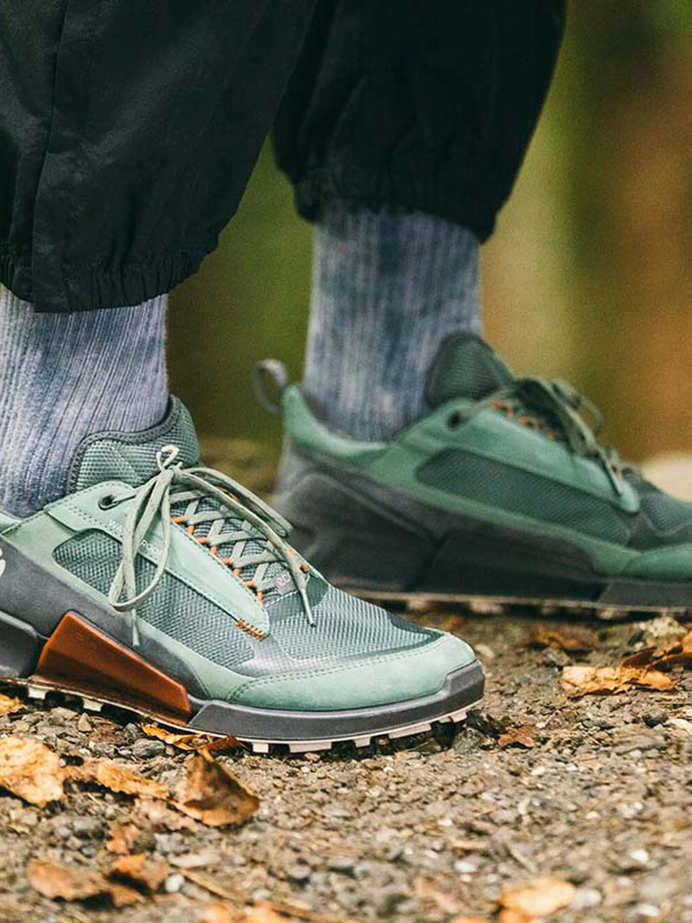 Кроссовки ECCO BIOM 2.1 x MOUNTAIN модель 82381460569 Кроссовки ECCO BIOM 2.1 x MOUNTAIN модель 82381460569 Фото