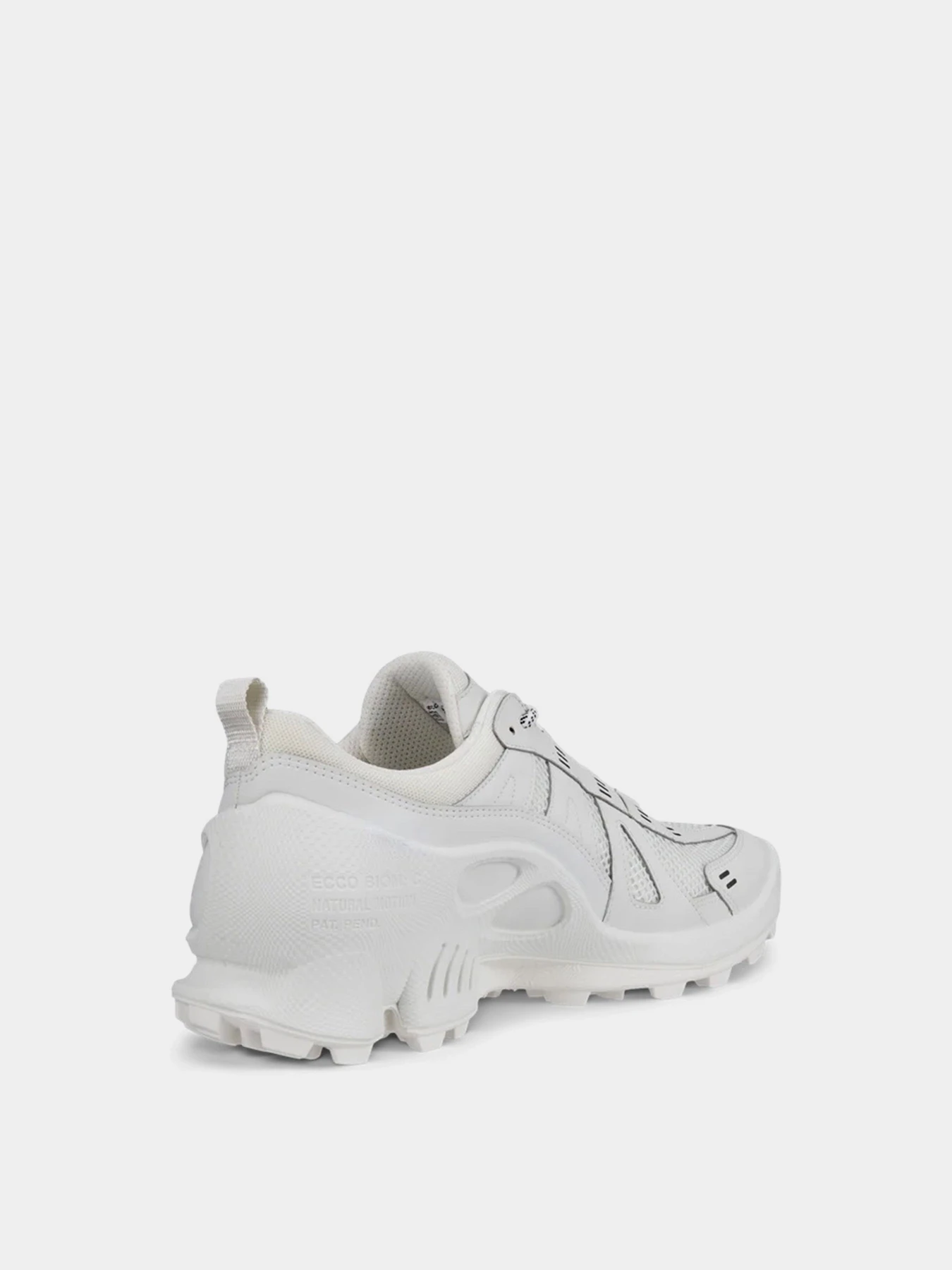 Кросівки ECCO BIOM C-TRAIL M модель 80322450153 Фото