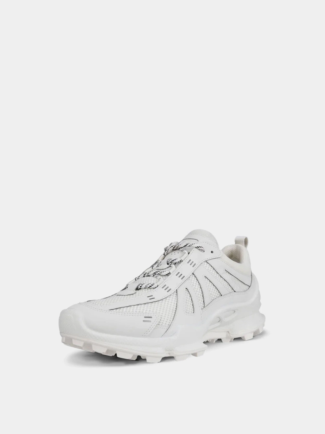Кросівки ECCO BIOM C-TRAIL M модель 80322450153 Фото