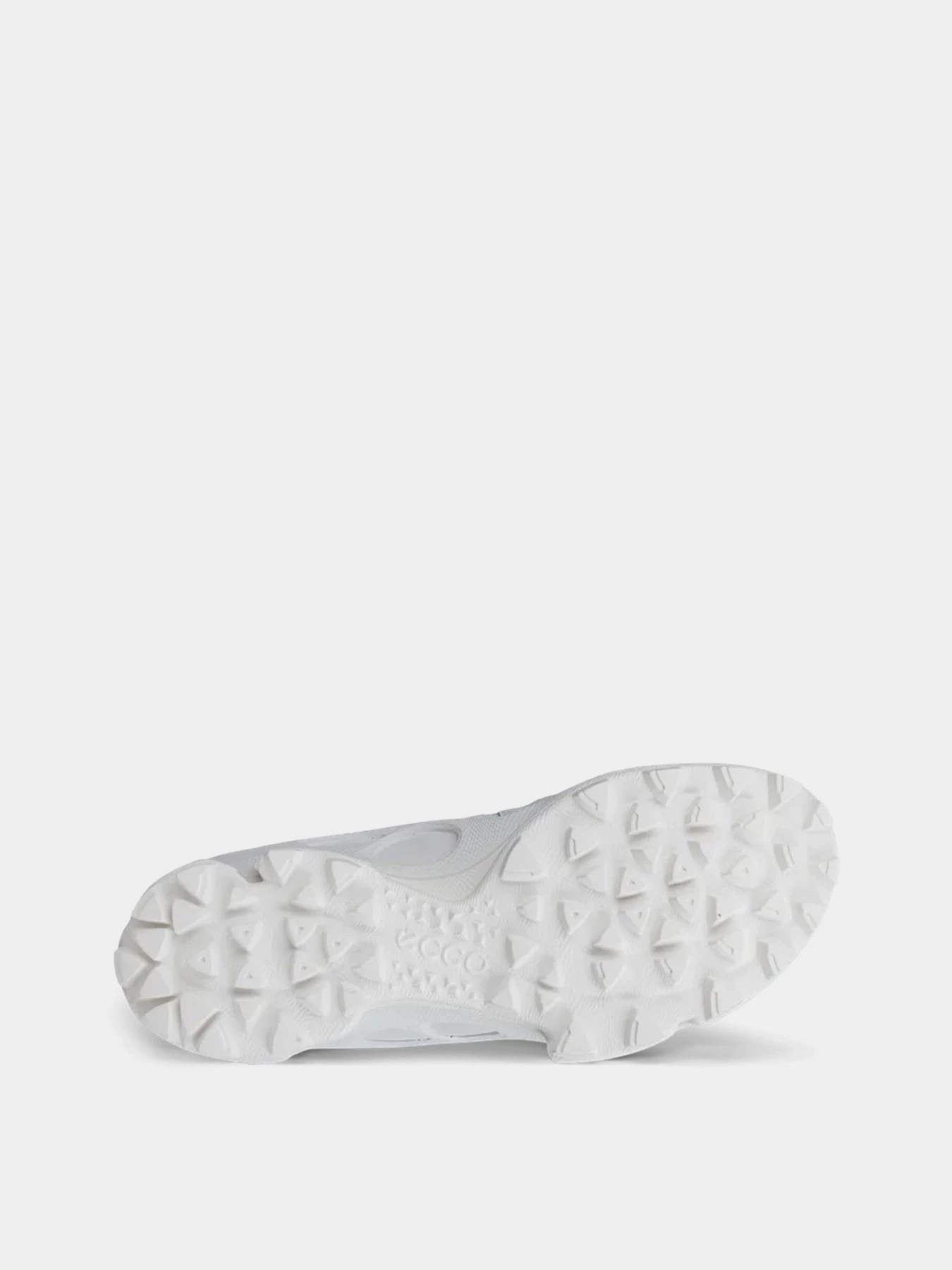 Кросівки ECCO BIOM C-TRAIL M модель 80322450153 Фото