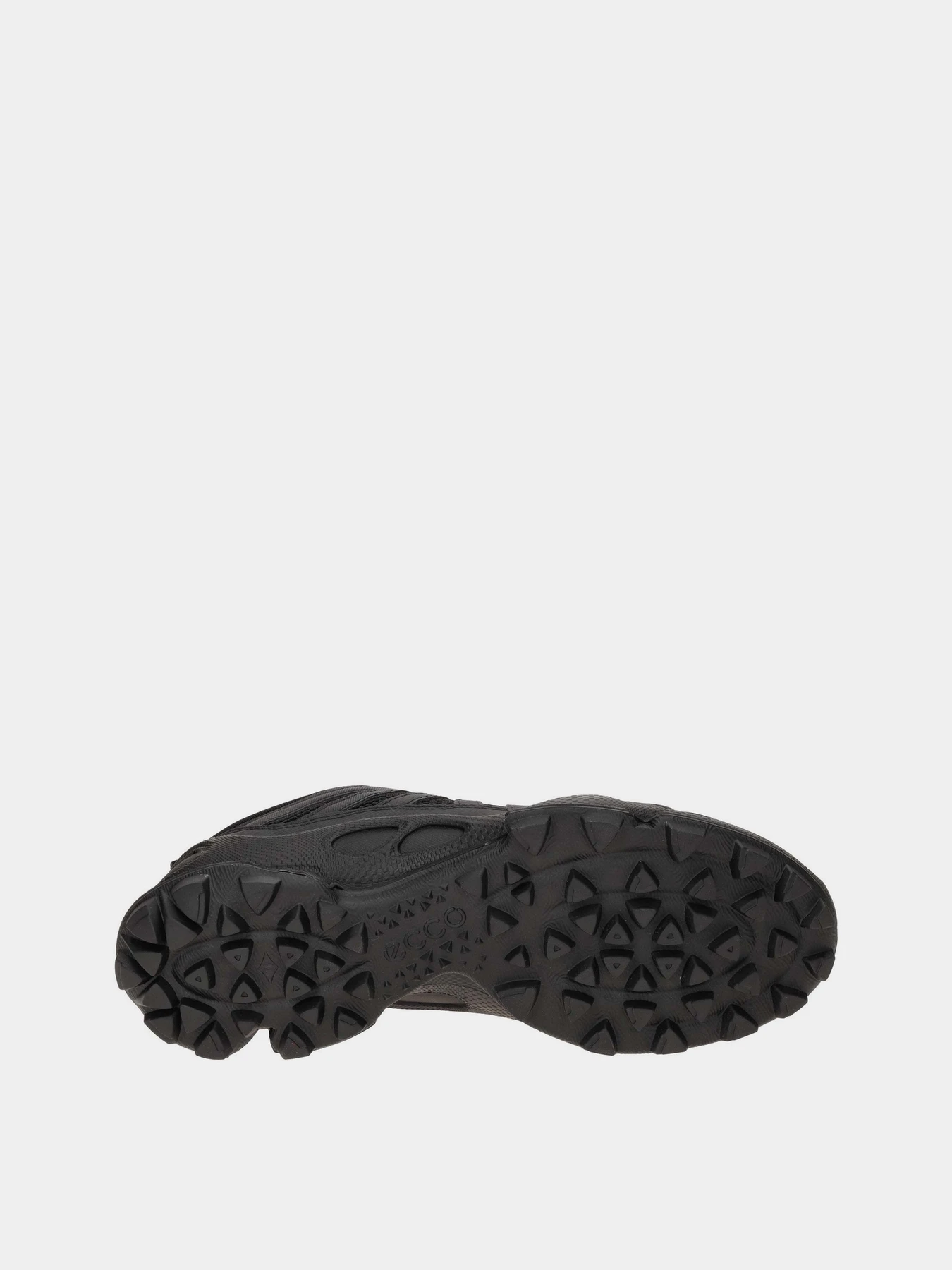 Кросівки ECCO BIOM C-TRAIL M модель 80322451052 Фото