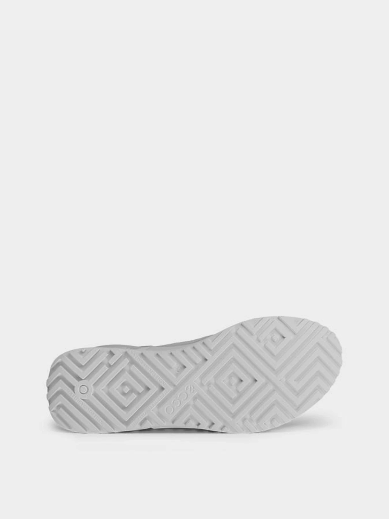 Кроссовки ECCO Biom 2.0 Boa модель 80087401007 Кроссовки ECCO Biom 2.0 Boa модель 80087401007 Фото