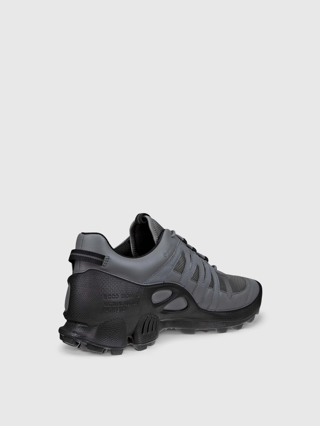 Кросівки ECCO BIOM C-TRAIL M модель 80325461000 Фото