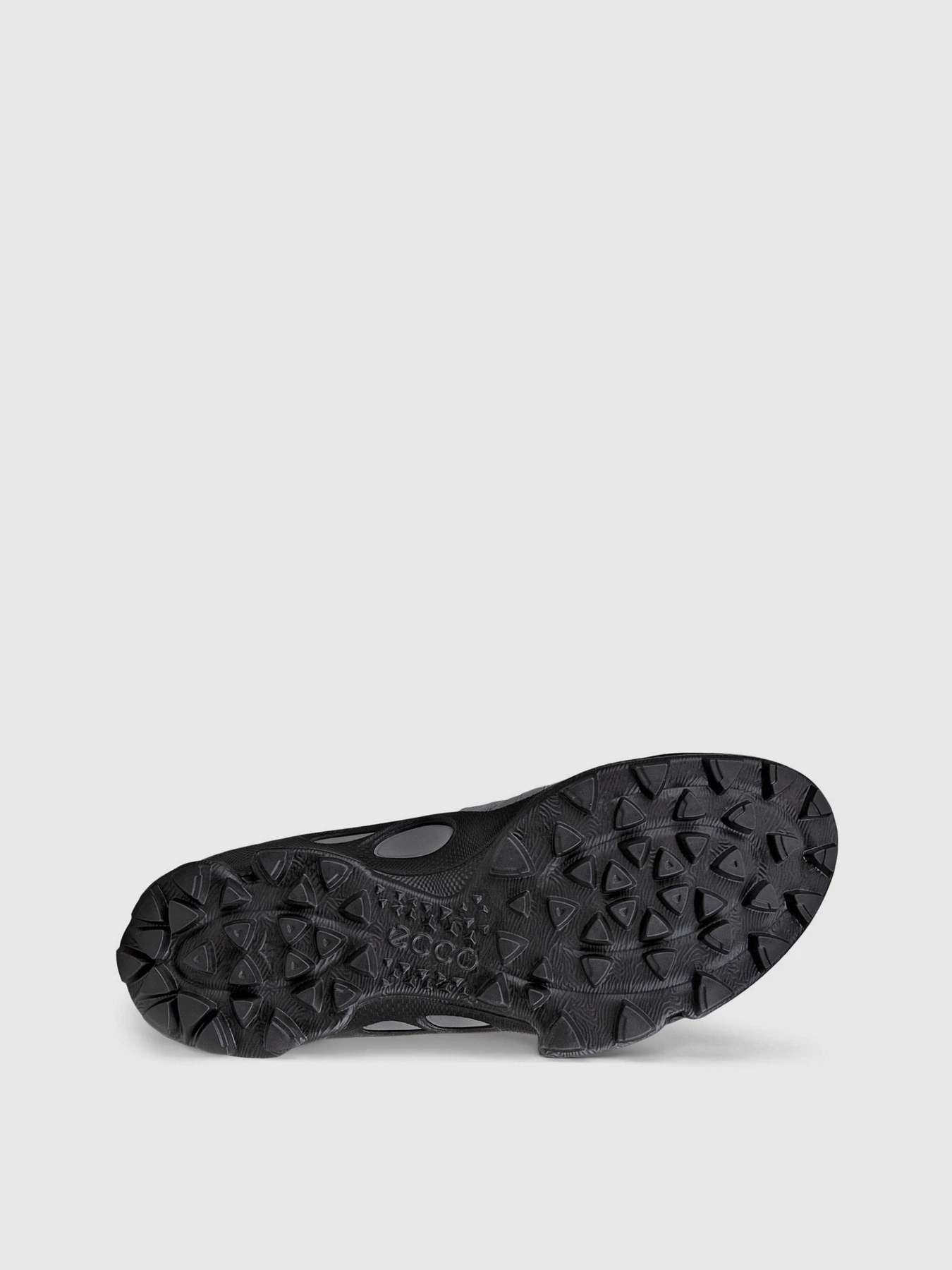 Кросівки ECCO BIOM C-TRAIL M модель 80325461000 Фото