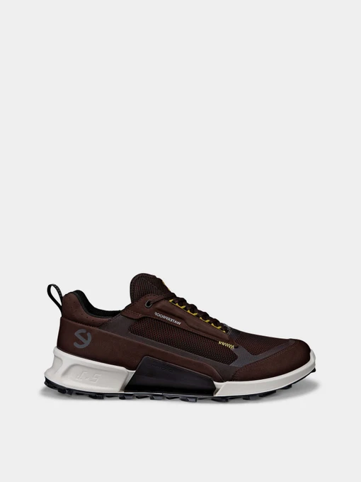 Кроссовки ECCO Biom 2.1 x Mountain модель 82381460993 Фото