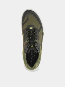 Кроссовки ECCO BIOM 2.1 X MOUNTAIN M модель 82389461182 Фото