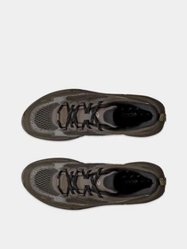 Кроссовки ECCO BIOM 2.2 M модель 83091461367 Фото
