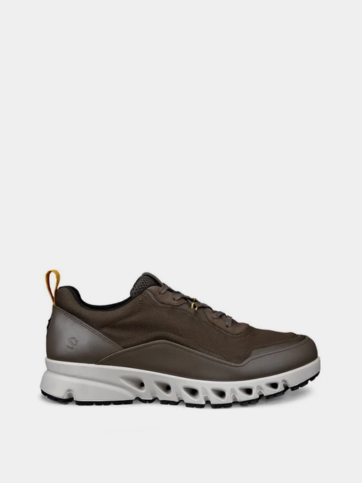 Кросівки ECCO MULTI-VENT M модель 88028461340 Фото