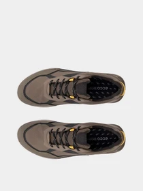 Кроссовки ECCO BIOM 2.1 X MOUNTAIN M модель 82392461293 Фото