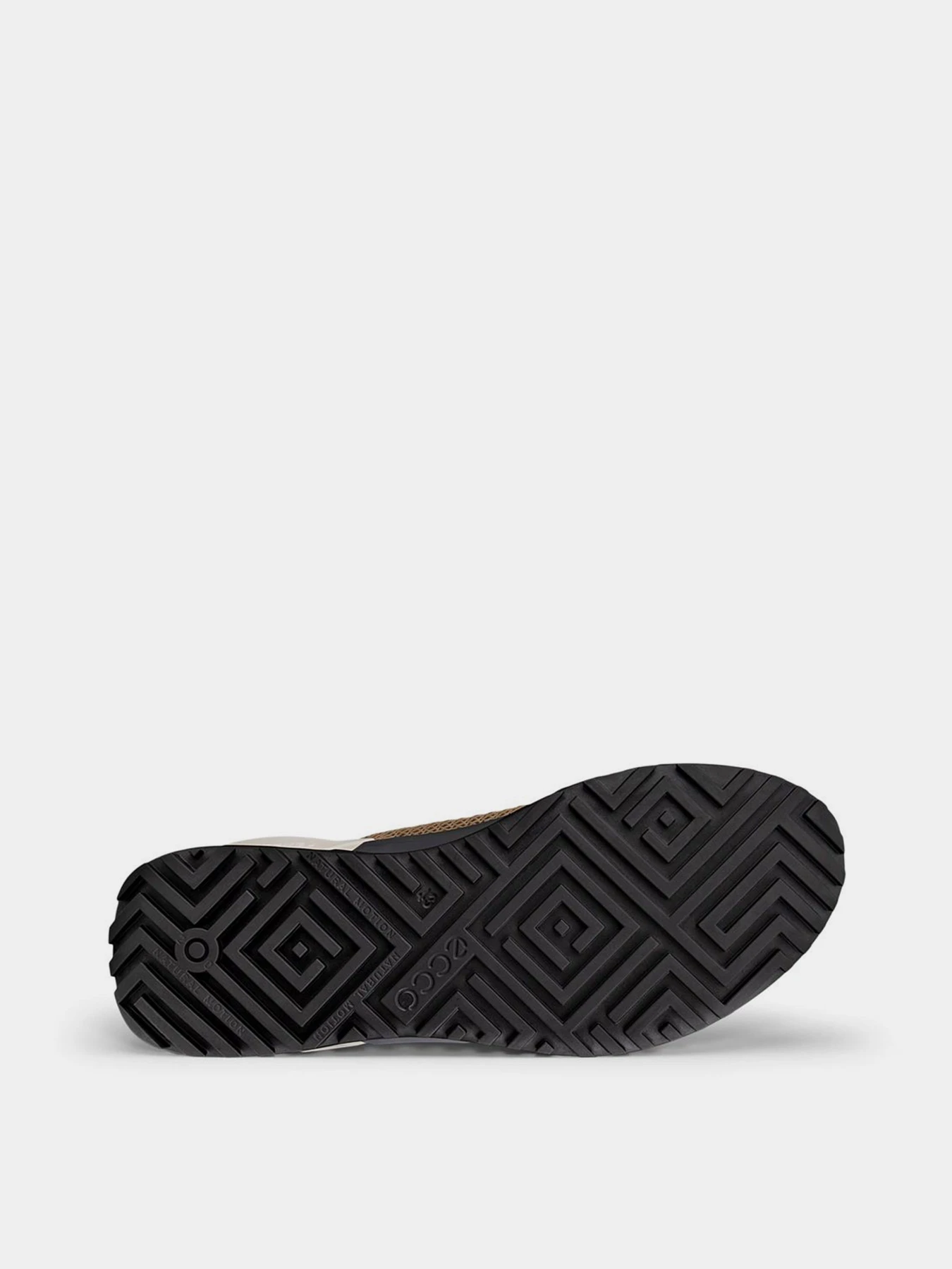 Кроссовки ECCO BIOM 2,0 M модель 80067461479 Фото