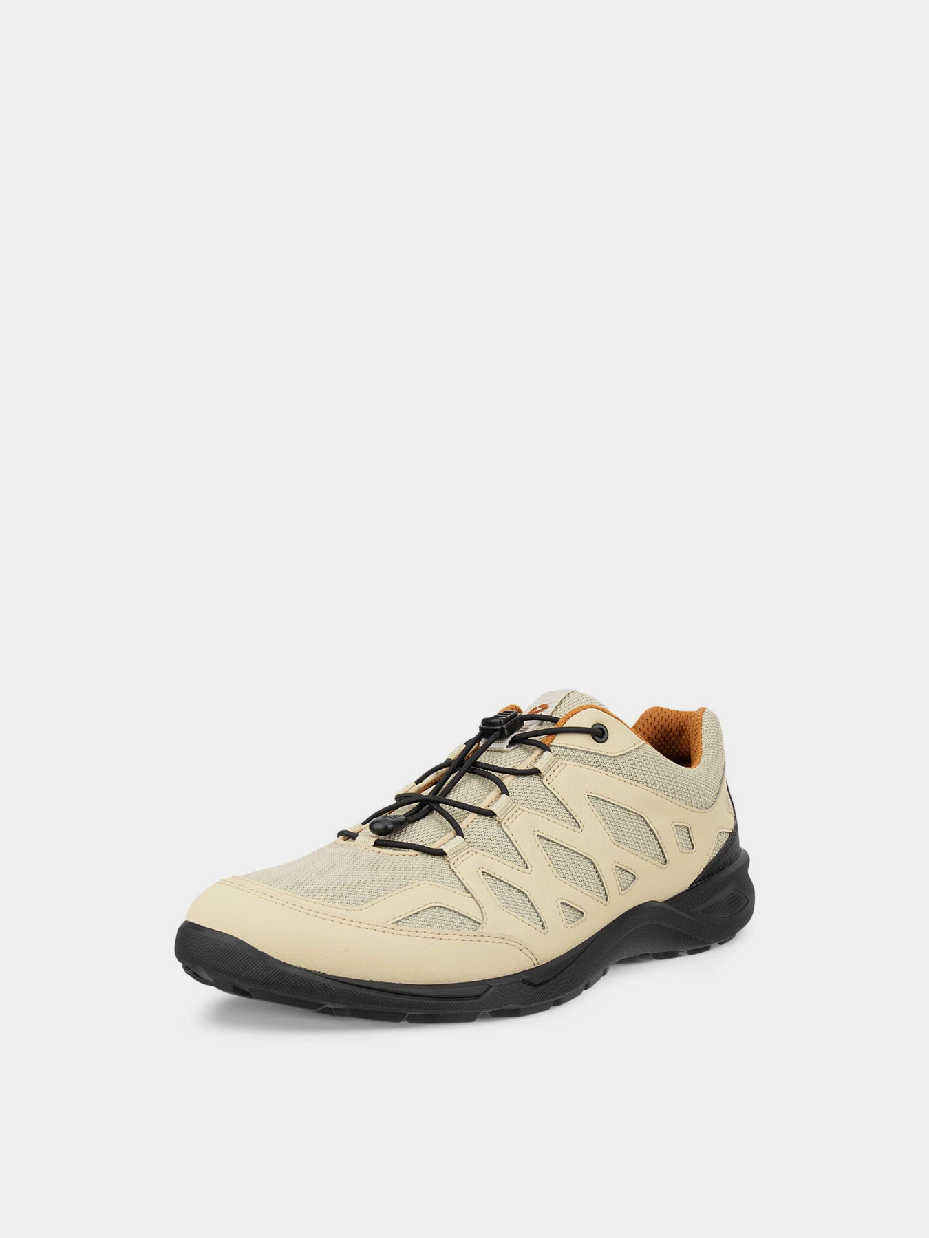 Кроссовки ECCO TERRACRUISE LT M модель 82580461624 Кроссовки ECCO TERRACRUISE LT M модель 82580461624 Фото