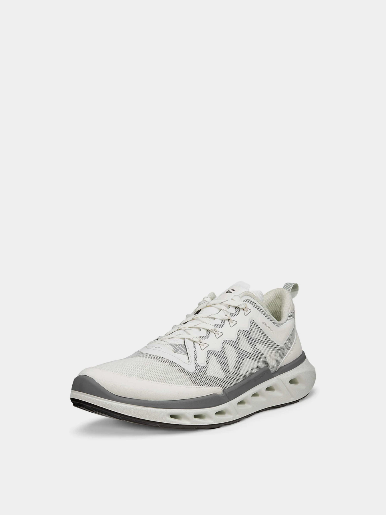 Кросівки ECCO BIOM 720 M модель 85031461644 Кросівки ECCO BIOM 720 M модель 85031461644 Фото