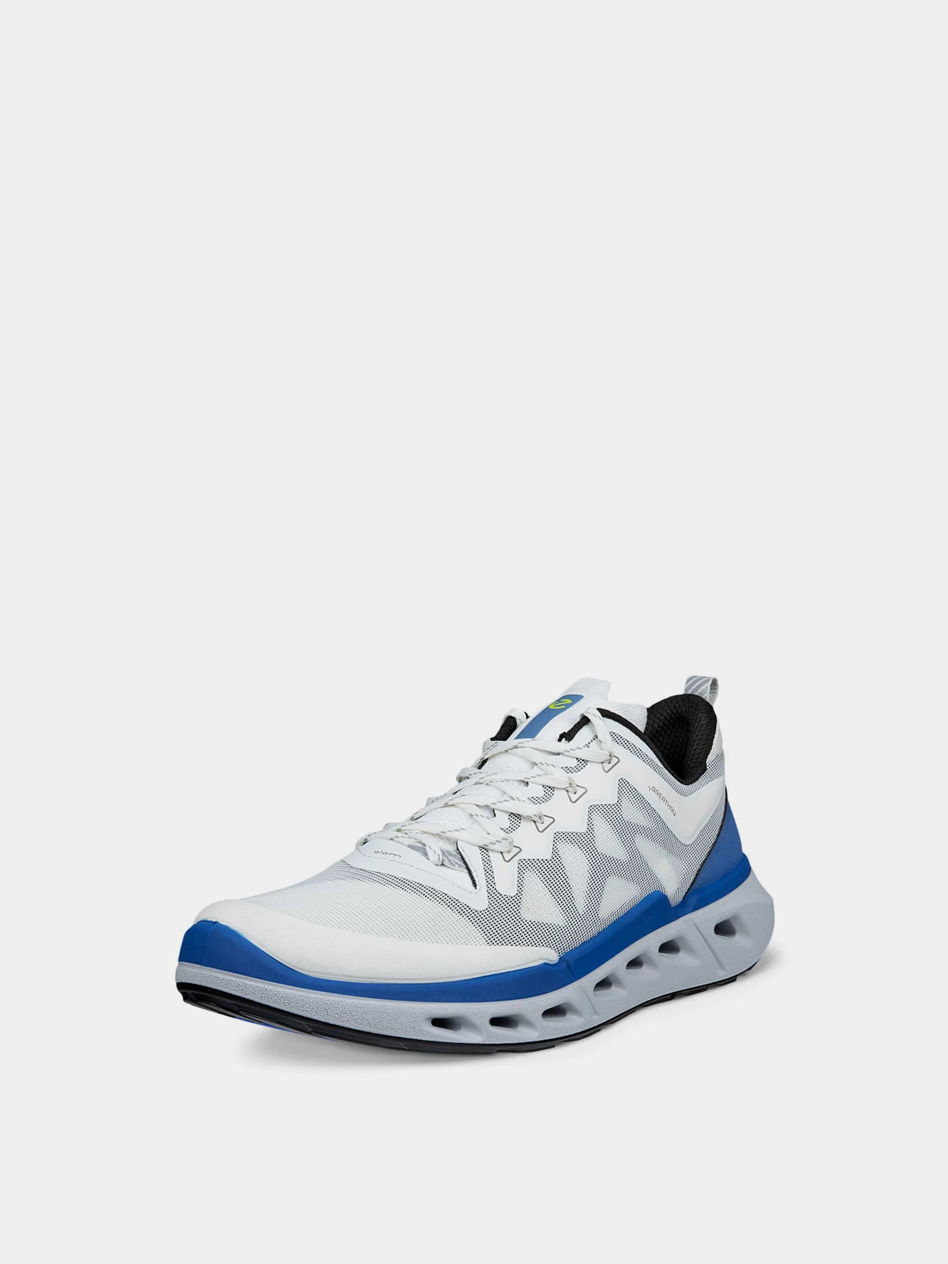 Кросівки ECCO BIOM 720 M модель 85031461647 Кросівки ECCO BIOM 720 M модель 85031461647 Фото
