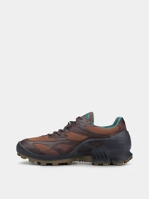 Кросівки ECCO BIOM C-TRAIL M модель 81044461720 Фото