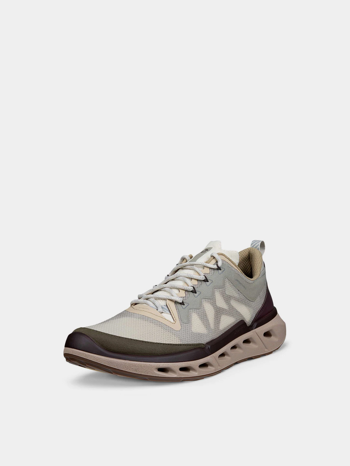 Кросівки ECCO BIOM 720 M модель 85037461754 Кросівки ECCO BIOM 720 M модель 85037461754 Фото