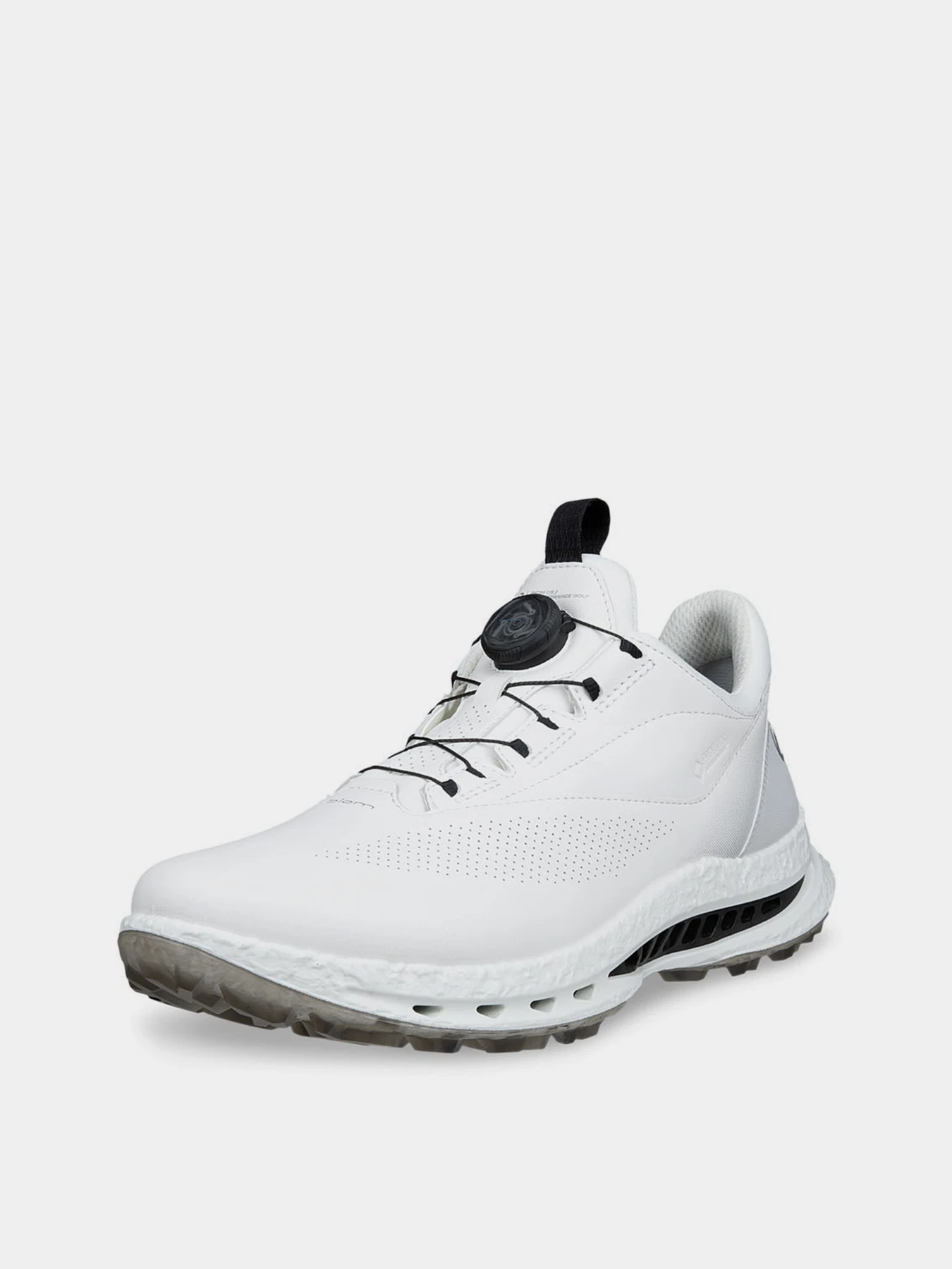 Кроссовки ECCO M GOLF BIOM C5 модель 13261450874 Фото