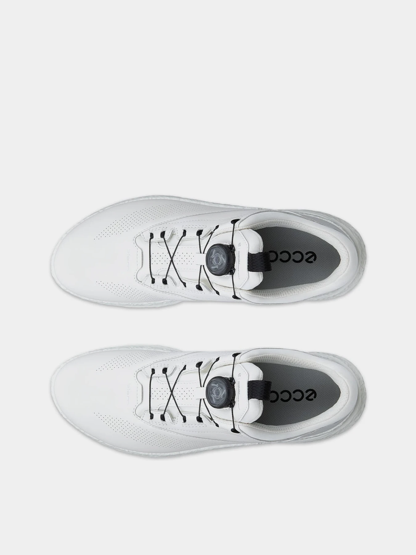 Кроссовки ECCO M GOLF BIOM C5 модель 13261450874 Фото
