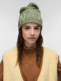 Шапки та кепки Napapijri F-IWA BEANIE AVOCADO G4C модель NP0A8BAHG4C1 Фото