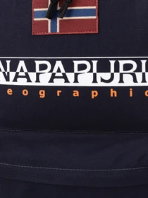 Рюкзаки Napapijri Hering Dp 20,8L модель NP0A4G991761 Фото