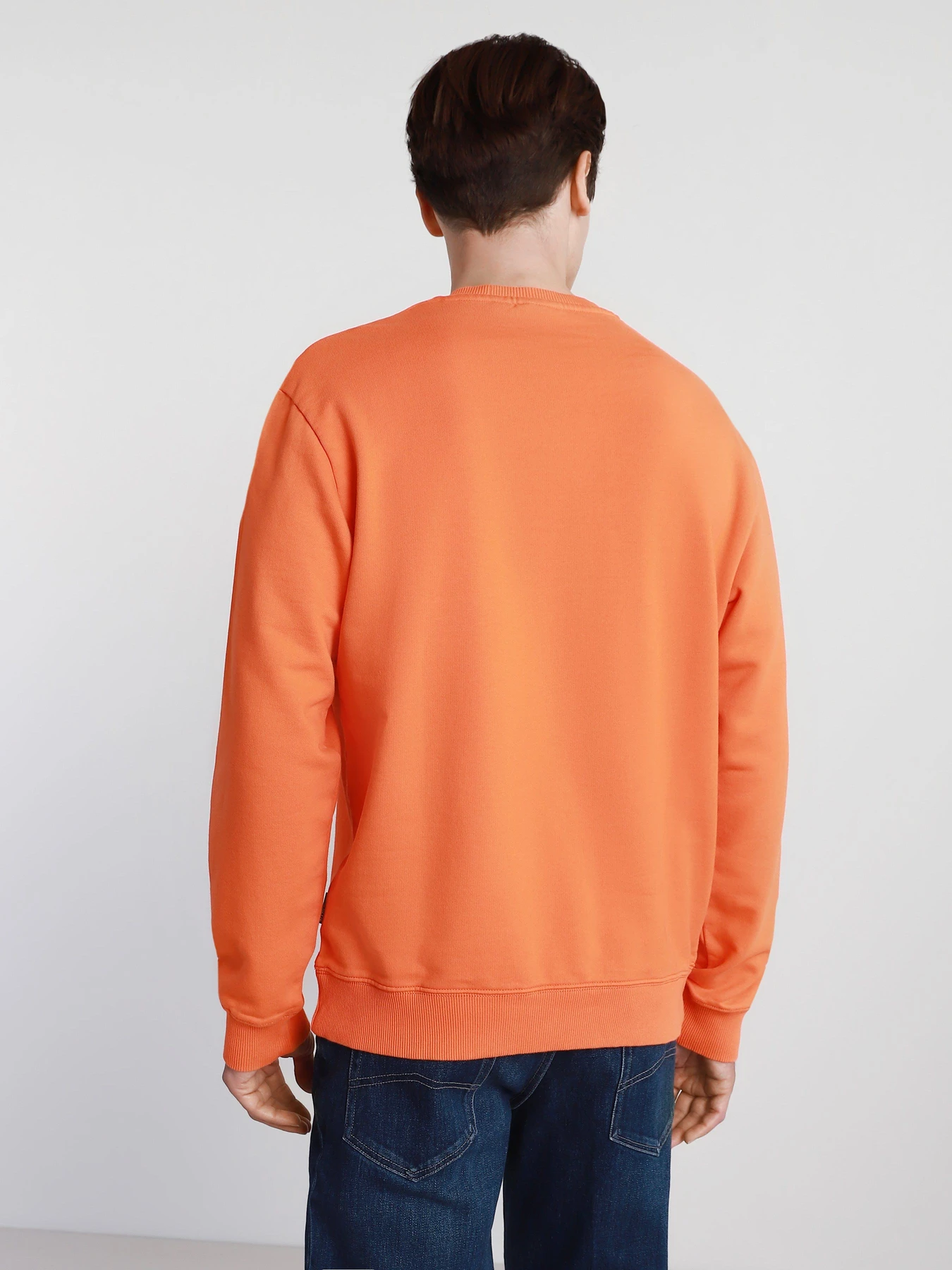Худи и свитшоты Napapijri Sweatshirt Box модель NP0A4F5AA1A1 Фото