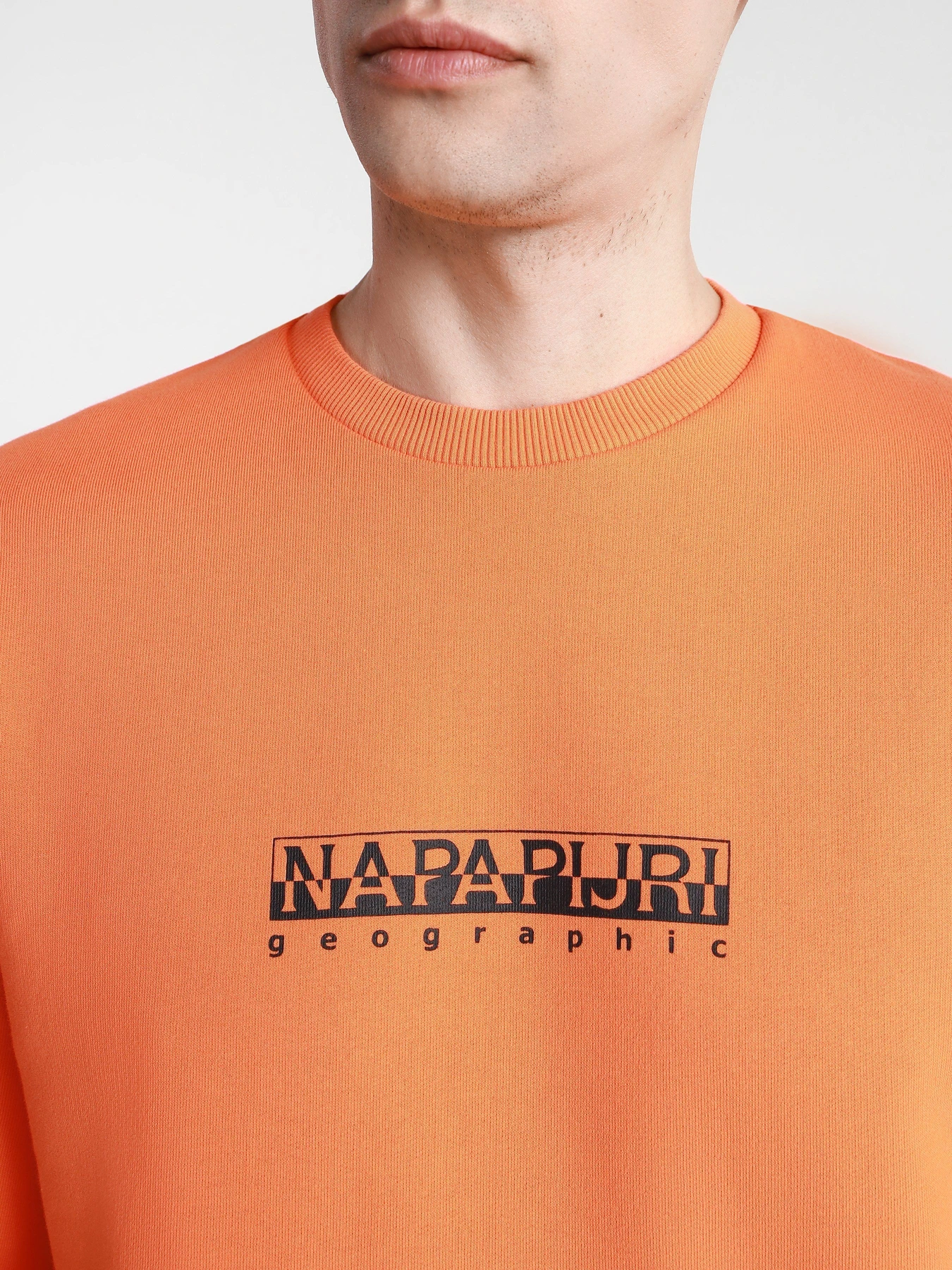 Худи и свитшоты Napapijri Sweatshirt Box модель NP0A4F5AA1A1 Фото