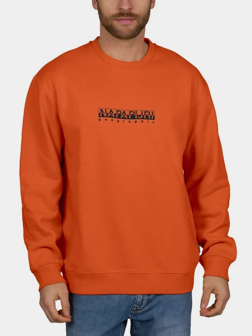 Худи и свитшоты Napapijri Sweatshirt Box модель NP0A4F5AA1A1 Фото