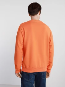 Худи и свитшоты Napapijri Sweatshirt Box модель NP0A4F5AA1A1 Фото