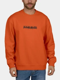 Худи и свитшоты Napapijri Sweatshirt Box модель NP0A4F5AA1A1 Фото