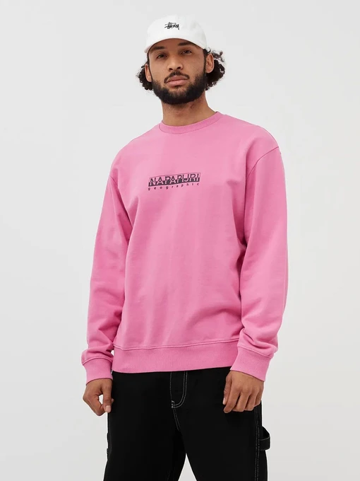 Худи и свитшоты Napapijri Sweatshirt Box модель NP0A4F5APR11 Фото
